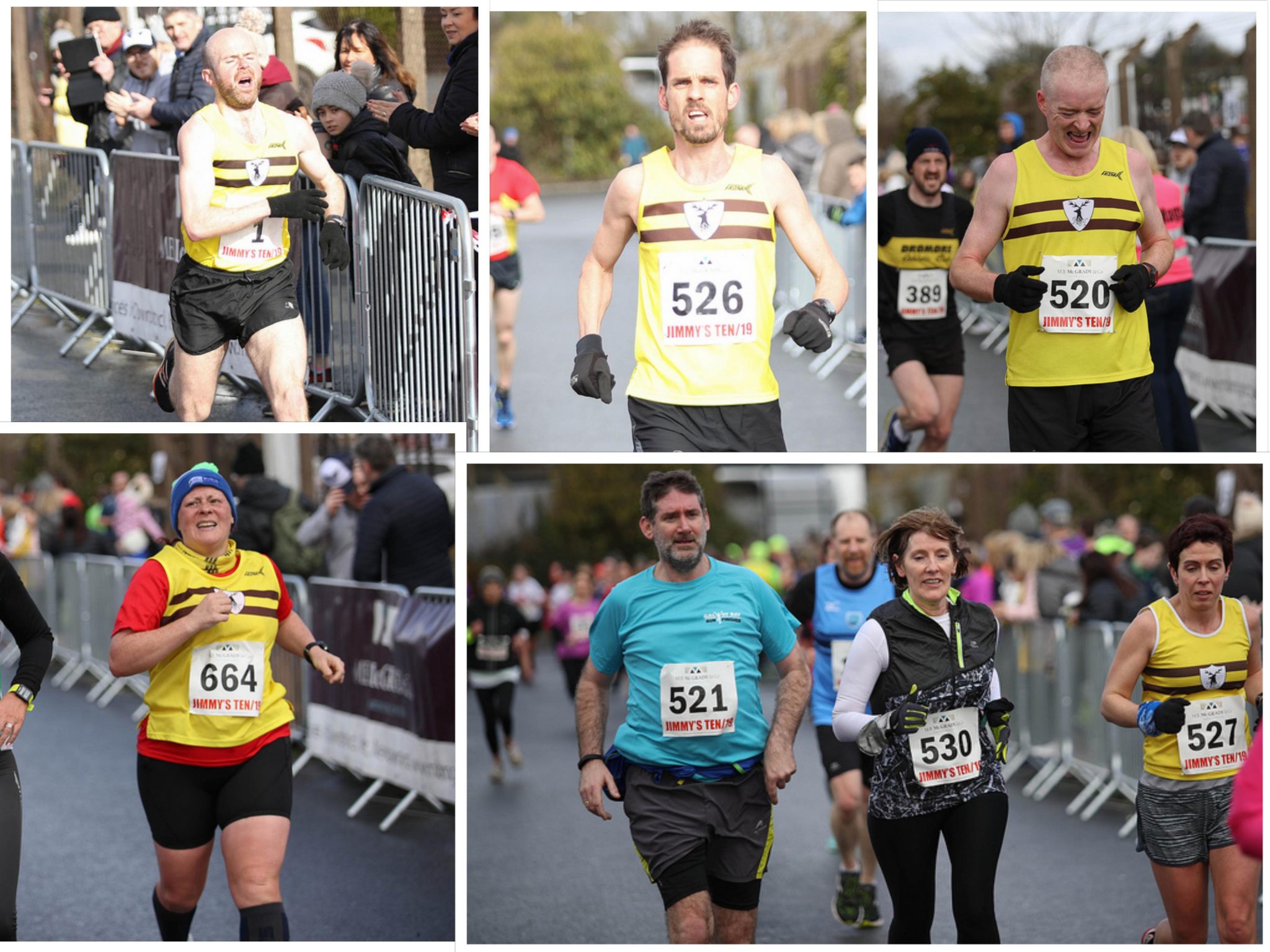 Some of the harriers in action in Downpatrick