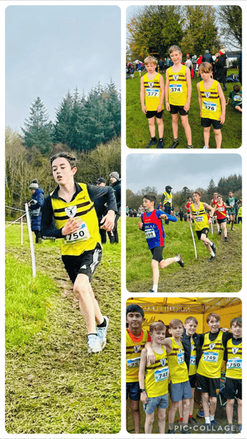 thumbnail_collage 2